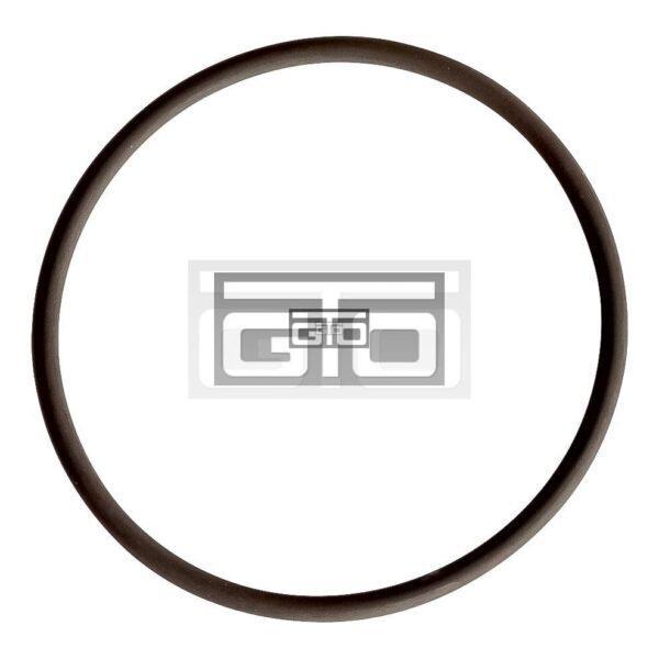DELPHI UPPER O-RING PUMP UNIT DF