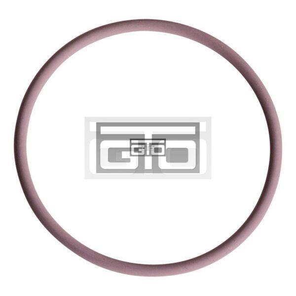 DELPHI MIDDLE O-RING PUMP UNIT DF