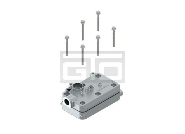 Kit: Cylinder Head