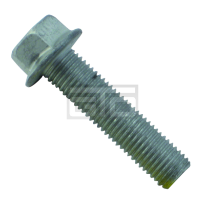 SCHROEF M16X65 100 GEO