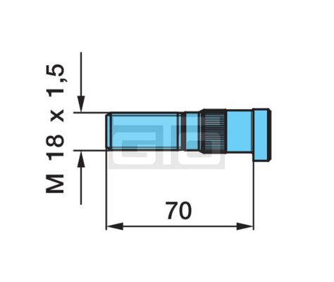 RADBOLZEN M18X1,5X70 D=20,4X24,5/13 DAC