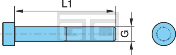 FEDERSCHRAUBE AM16X295 WIE4626 D=24