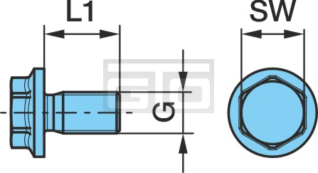 SCREW M8X14 90TENSIL.GEO