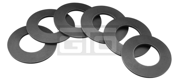 Set Of Dished Plate Springs - GTO Transport and Safety
