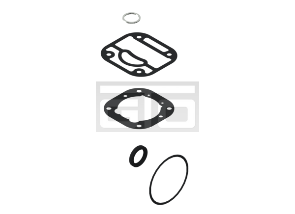 Kit: Gasket