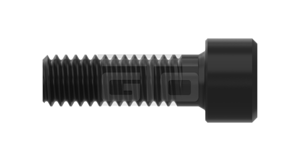 Schroef M8 x 25