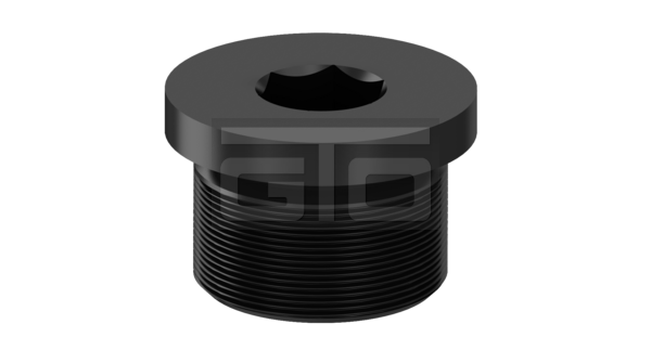 Hexagon Socket Pipe Plug DIN908-M22x1,5 - Image 4