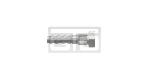 Screw