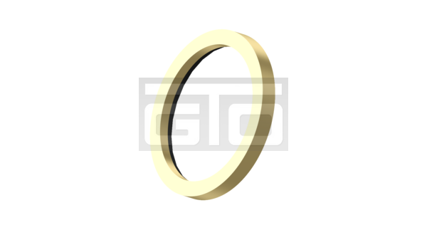 Thrust Ring - Image 3