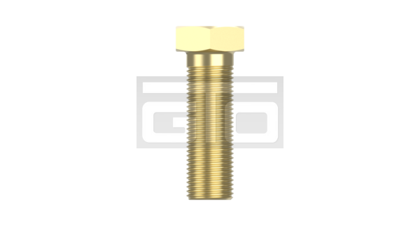 Screw Plug, full material - Afbeelding 2
