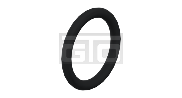 O-RING MIN50 - Afbeelding 2