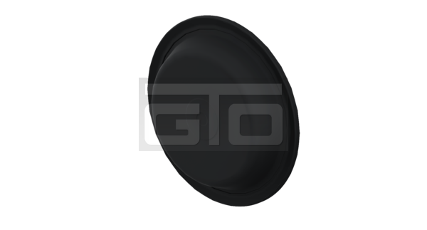 Diaphragm 55