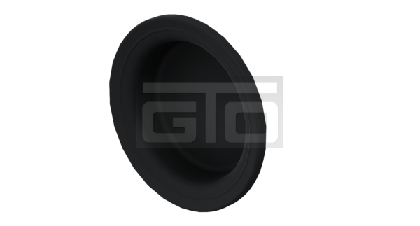 Diaphragm - Image 2