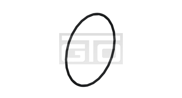 O-RING