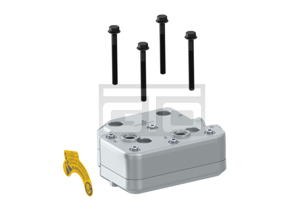 Kit: Cylinder Head