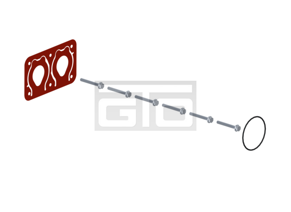 Kit: Gasket