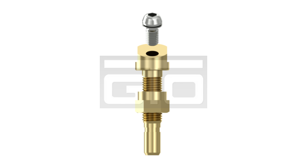 Valve Set TPMS - Image 3