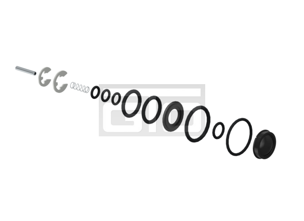 Kit: Sealing Ring