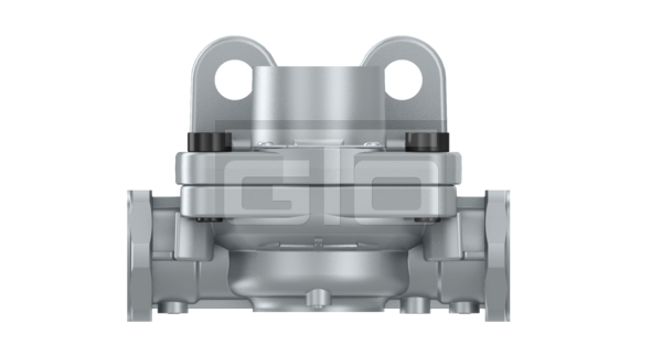 Quick Release Valve